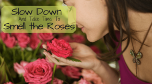 My Blog. Smell the Roses