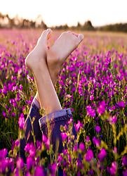 Reflexology. Legs crossed in field of flowers